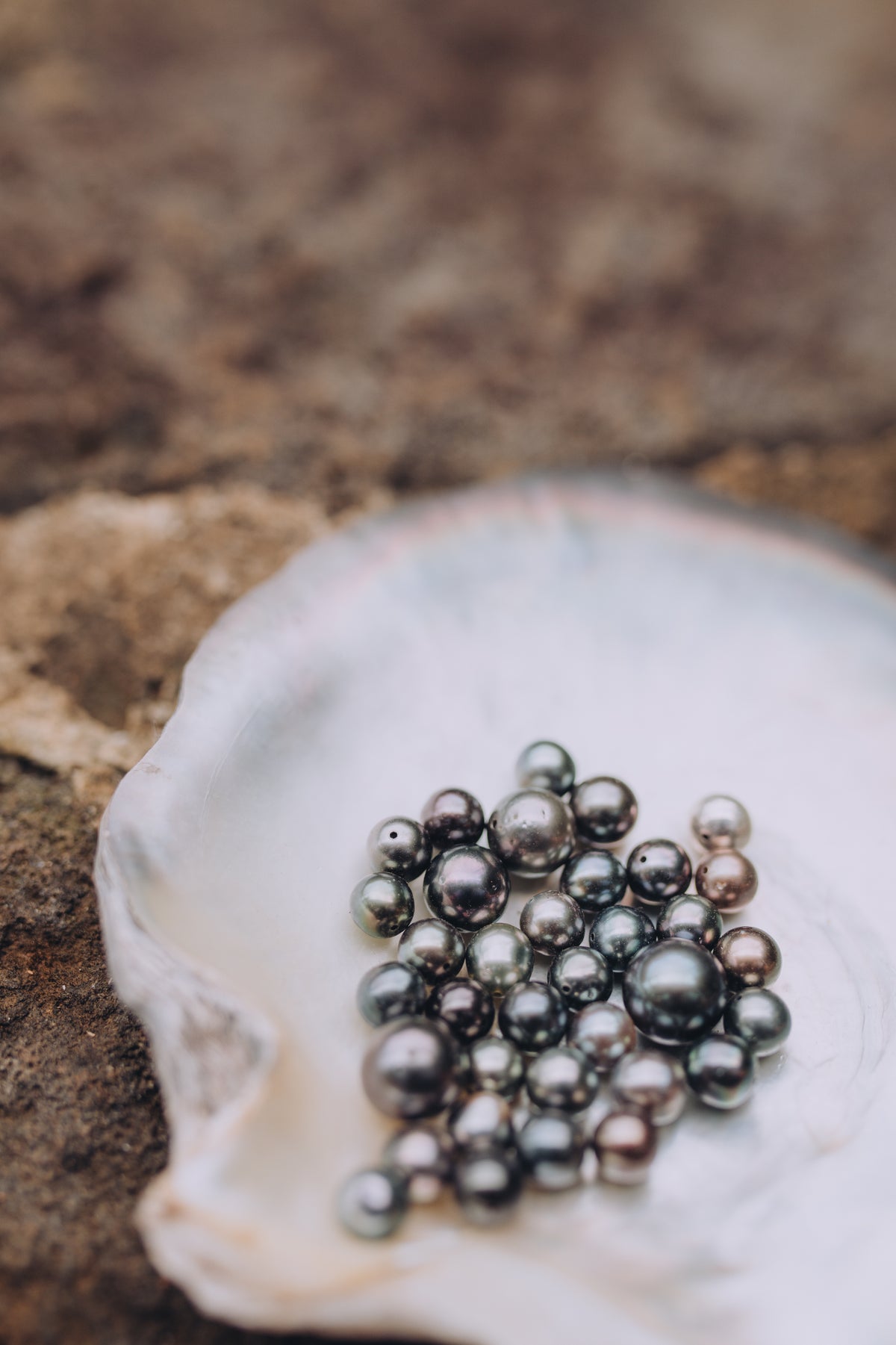 Exploring the Origins of Our Pearls: From Pristine Waters to Our Shores - Oceano Jewels
