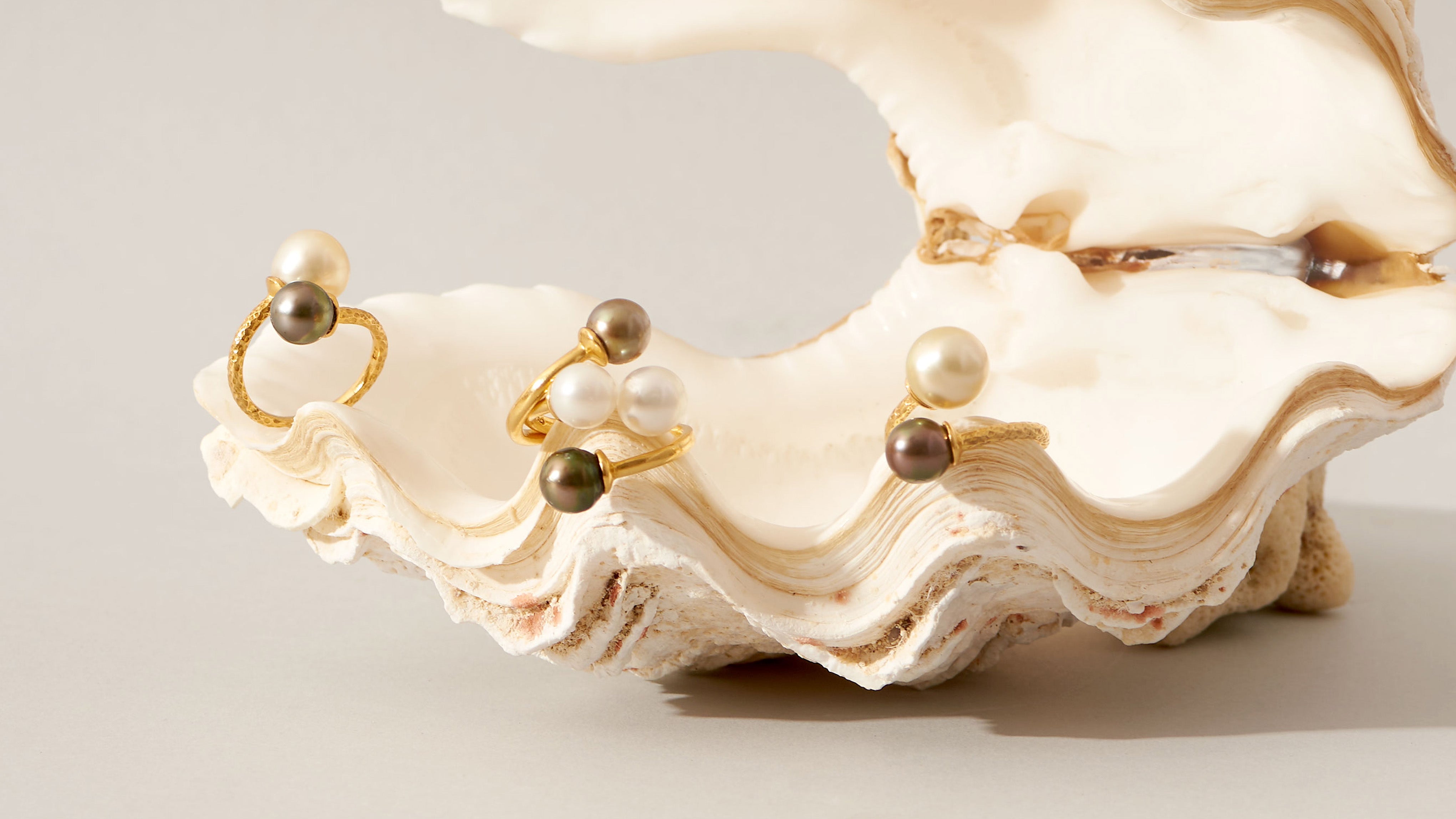 South Sea Pearls Meet Tahitian Pearls: Limited Edition