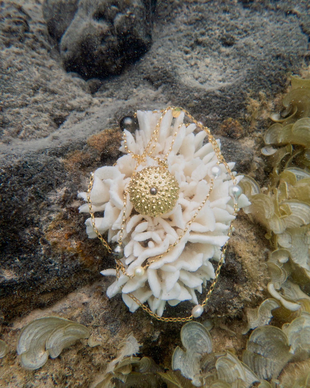 For The Love of the Ocean: Our Sustainability Commitment - Oceano Jewels