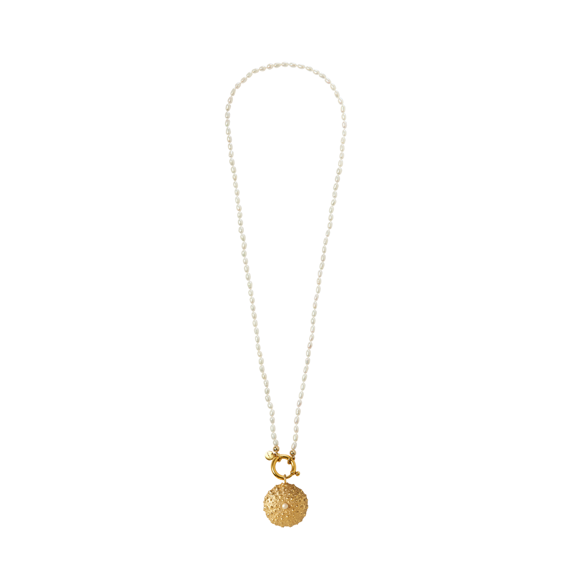 Surinam Gold Long White Rice Pearl Sea Urchin