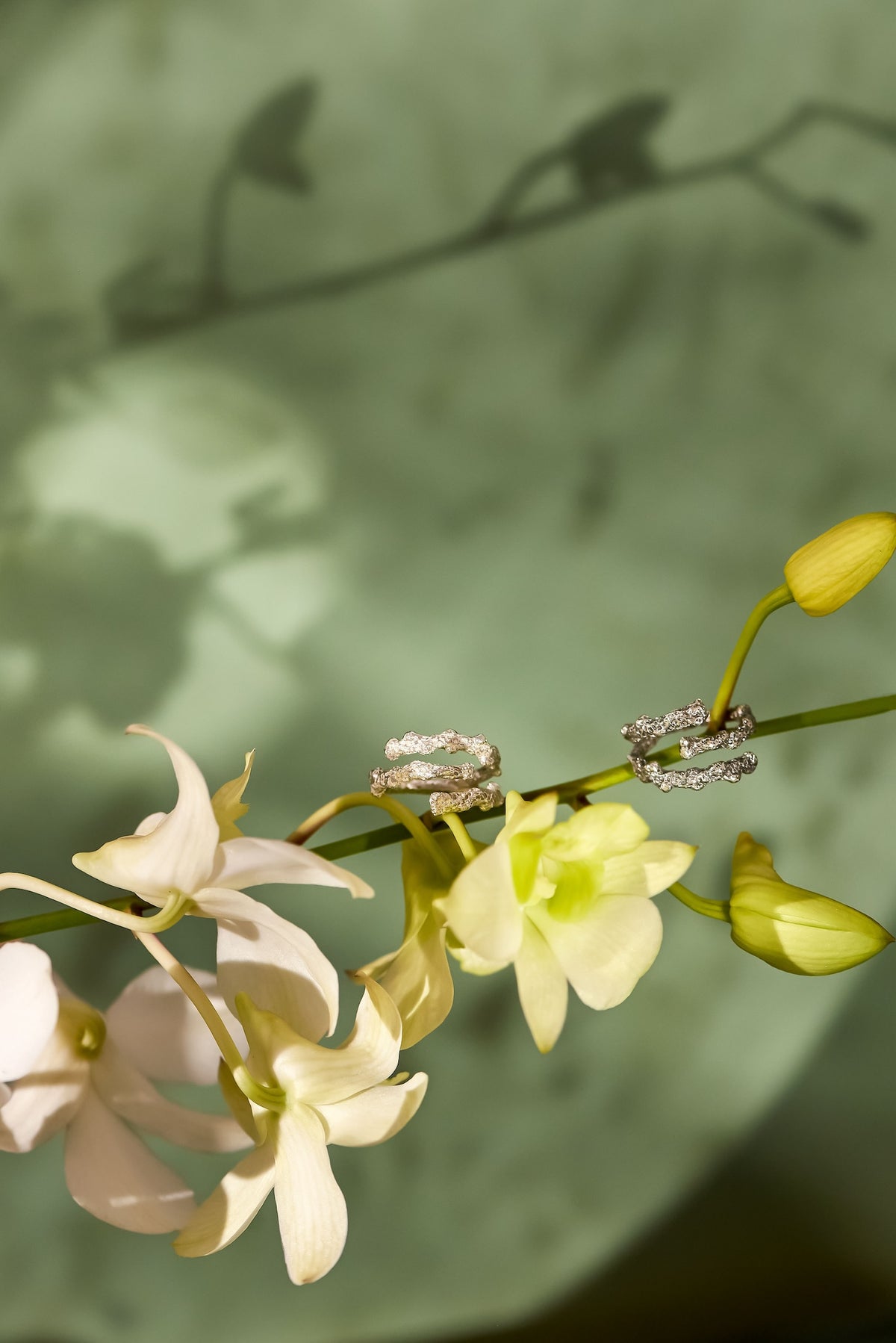 Handcrafted Plaine Corail Silver jewelry inspired by Indian Ocean coral reefs, Mauritius