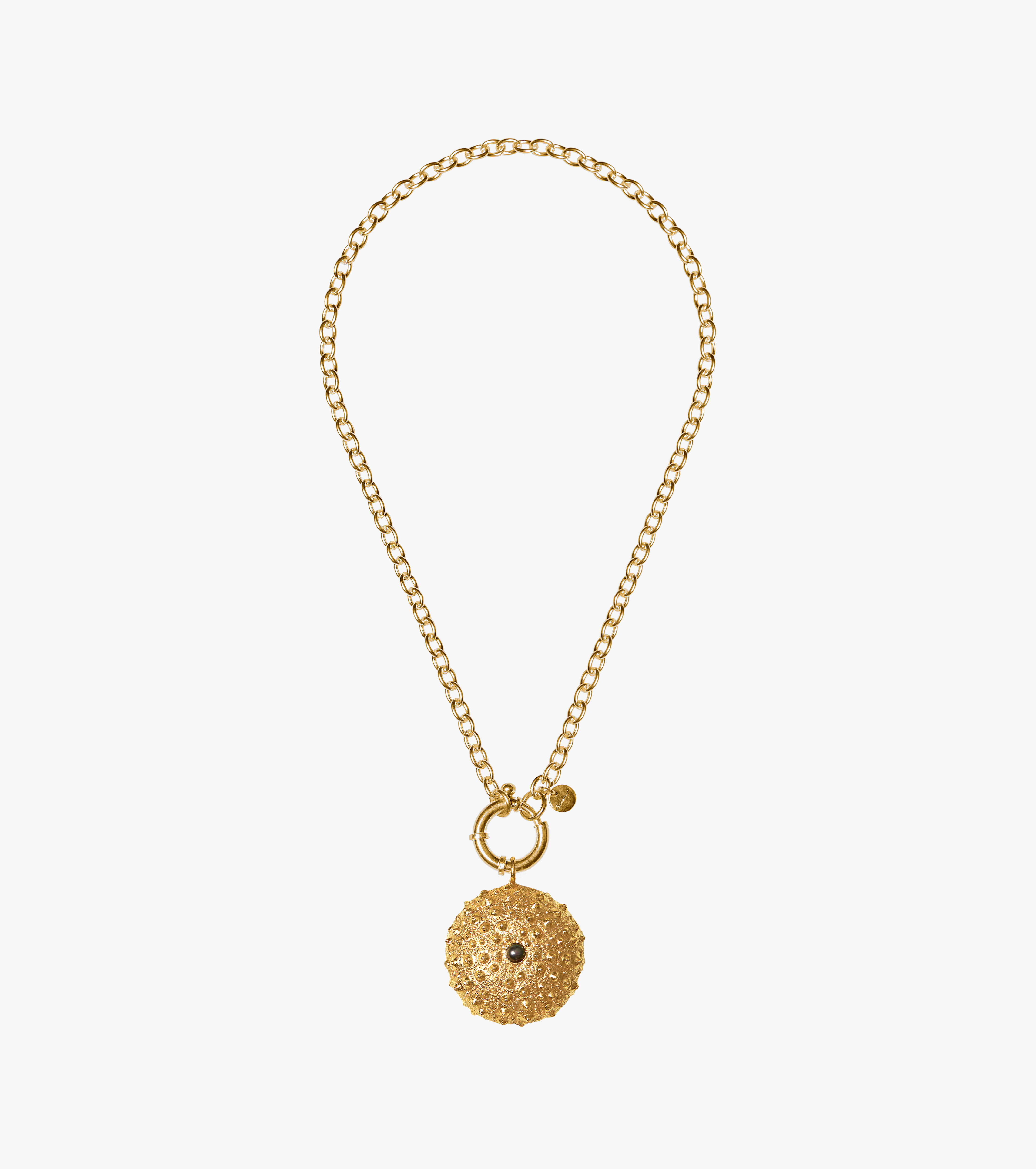 St Géran Gold with Sea Urchin