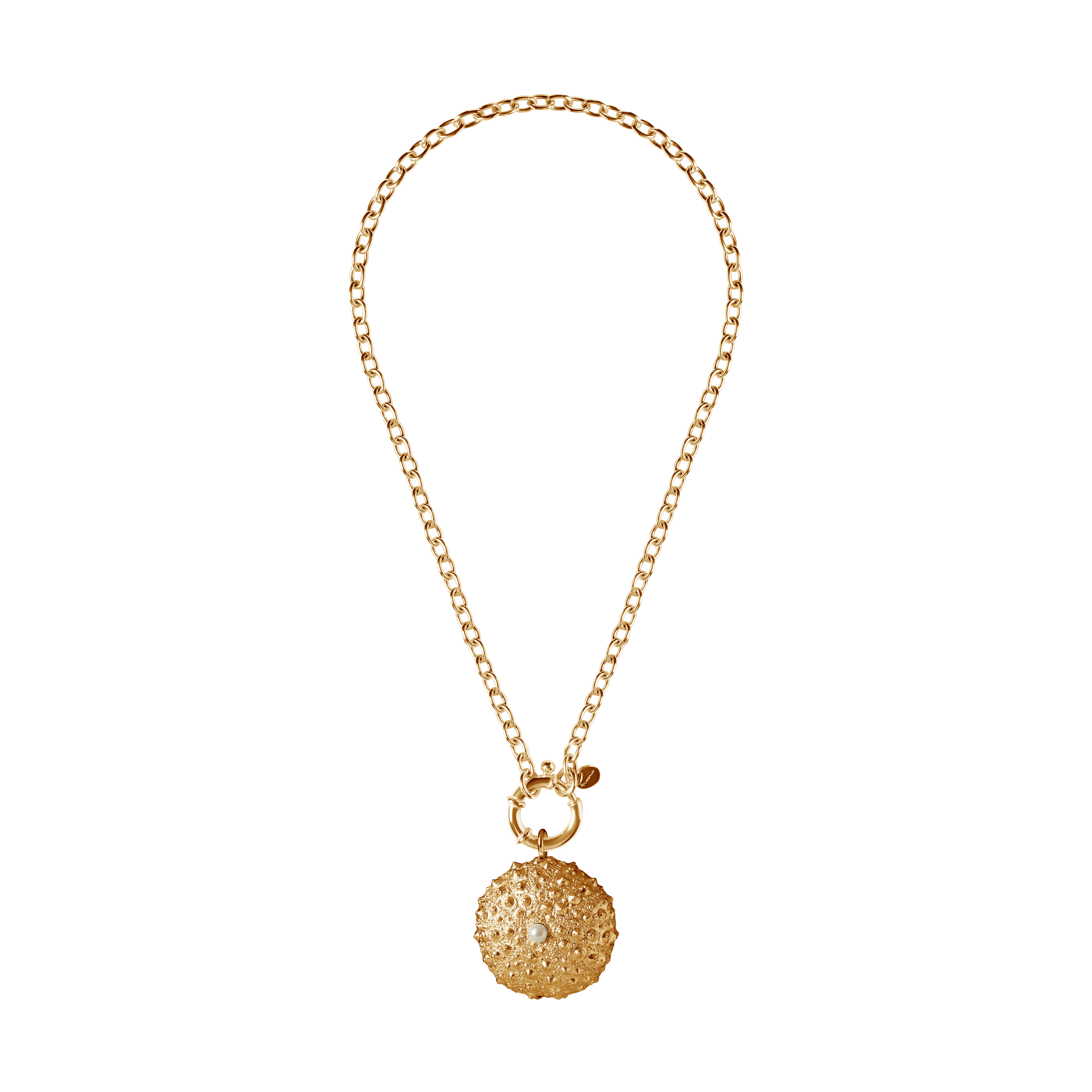St Géran Gold with Sea Urchin
